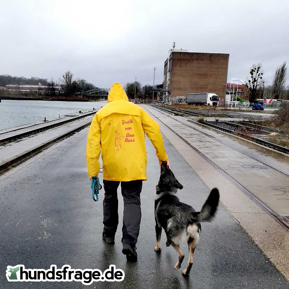 Gassi mit Hund im Regen – hundsfrage.de Gassi mit Hund im Regen - hundsfrage.de